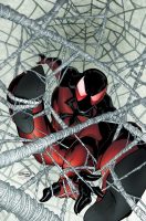 Scarspider2012001 Col 02