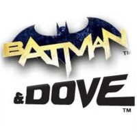 Batman And Robin Hawk And Dove Logo E1324260882202