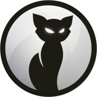 Black Cat Logo Symbol Catwoman
