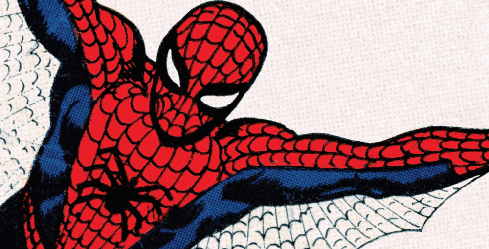 Steve Ditko Amazing Spider Man Banner