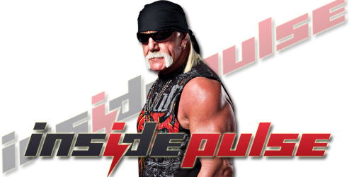 Hulk Hogan 500x250